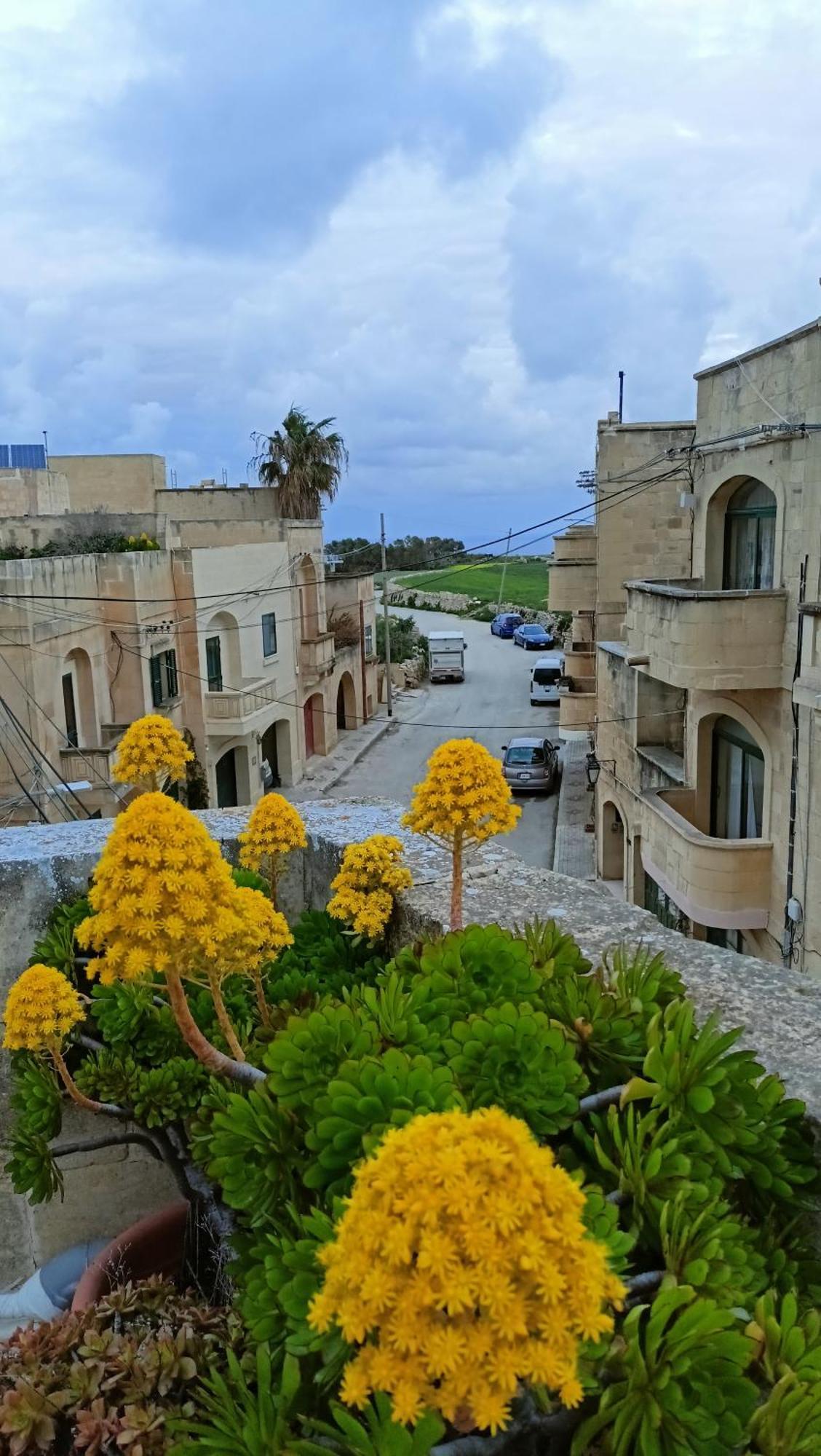 Arthome - Guest Rooms Għarb Exterior foto